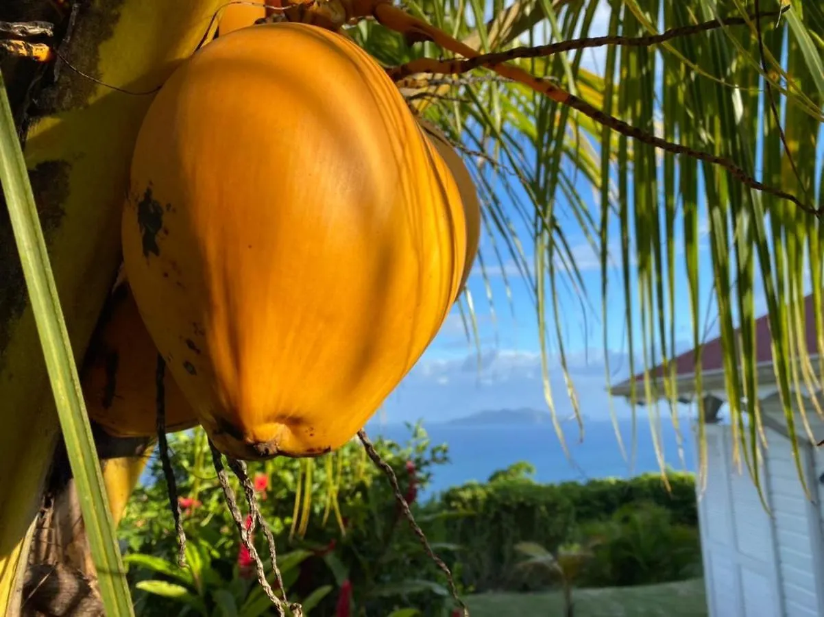 Bed & Breakfast Villa Cajou Chambres D'Hotes Chez L'Habitant Et Zanzibar Cottage Trois-Rivieres