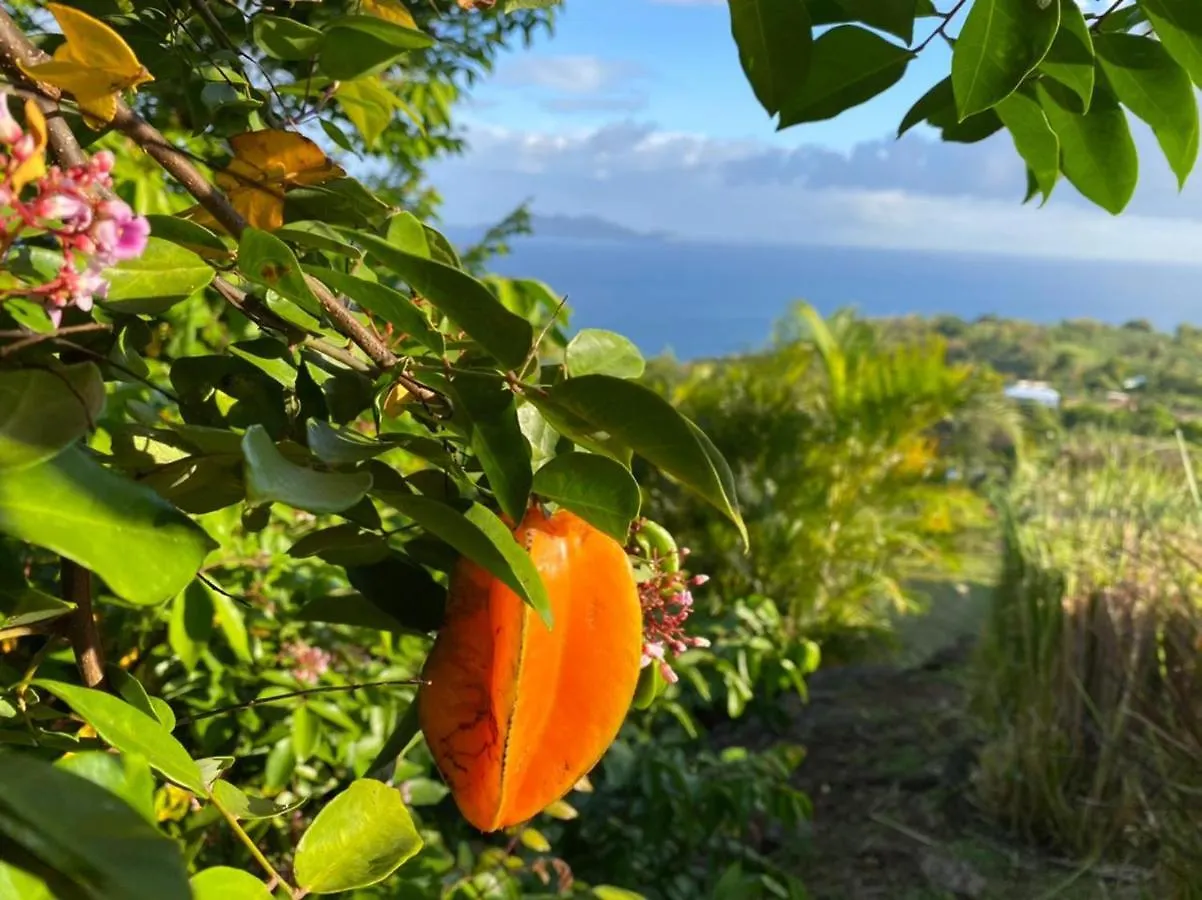 Villa Cajou Chambres D'Hotes Chez L'Habitant Et Zanzibar Cottage Trois-Rivieres Guadeloupe